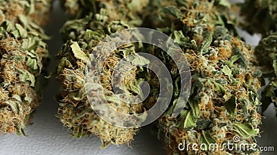 Close up dried cannabis medical marijuana stock footage Close up dried cannabis medical marijuana stock footage