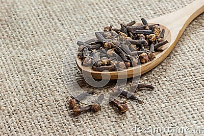 Close up dried cloves in wooden spoon on burlap sack Stock Photo