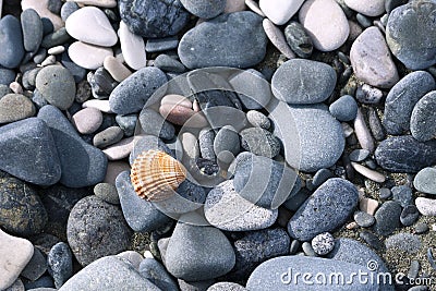 Pebbles and seashell on beach texture Stock Photo