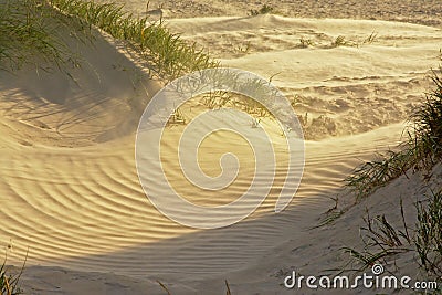 Windy Liepaja dunes along the baltic sea Stock Photo