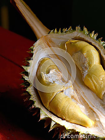 Close up of durian fruit on black background created using generative ai technology Stock Photo