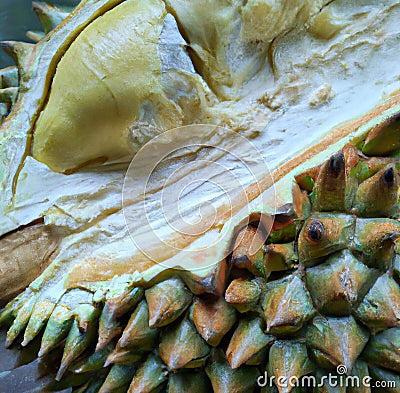 Close up of durian fruit created using generative ai technology Stock Photo