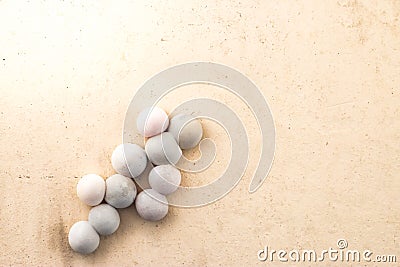 Gecko eggs on wall background Stock Photo