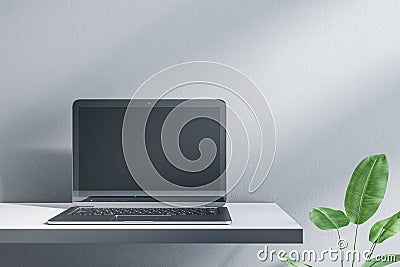 empty laptop on designer office desktop. Decorative plant and concrete wall background. Mock up, advertisement, Editorial Stock Photo