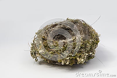 Close-up empty nest isolated on white background. Bird home. Top view. Consists of dry hay, blade of grass and feathers of birds. Stock Photo