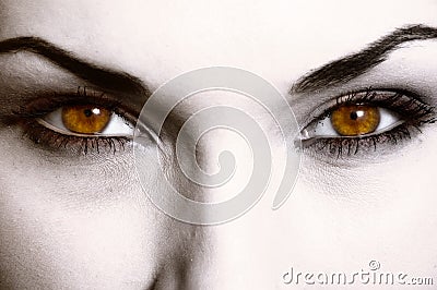 Close up of evil look Stock Photo