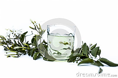 Close up of extract of Indian jasmine flower or juhi or Jasminum Auriculatum isolated on white in a transparent glass with raw flo Stock Photo