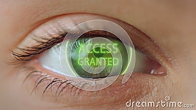 Close up eye access system analysing biometrics granting connection concept Stock Photo