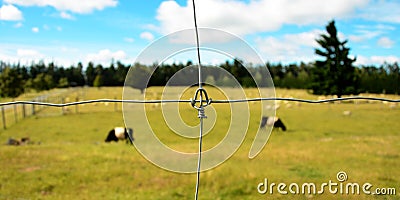 Livestock Farm in New Zealand Stock Photo