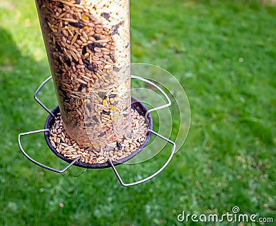 Isolated plastic bird feeder full of wild bird seed Stock Photo