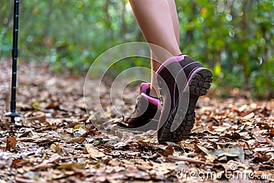 Close-up of female hiker feet and shoe walking on forest trail. Stock Photo