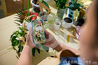 Close-up florist holds smartphone, photographing a bouquet of flowers in wicker basket, created in floral design studio Stock Photo