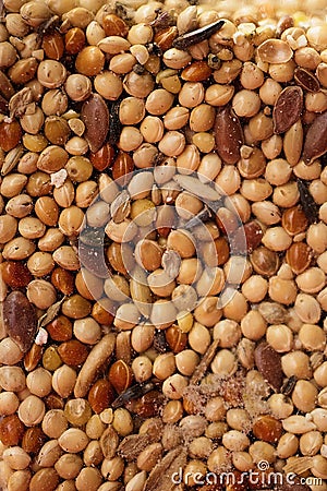 Close-up of food made up of different seeds for Australian parakeets. Stock Photo