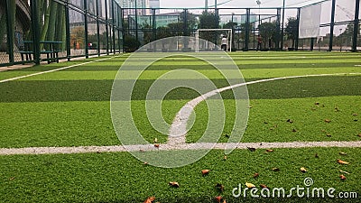 A close-up of a football training ground. This is a miniature football training ground Stock Photo