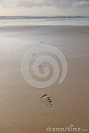 Close up on footsteps on sandy ground in beautiful golden sunset on biscarrosse beach, france Stock Photo