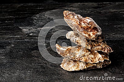 Close-up of four beautiful close oysters on a black background. Delicious tropical sea mollusk. The greatest delicacy. Copy space. Stock Photo