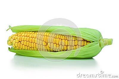 Close-up of fresh corn, Grains of ripe corn texture background, yellow sweet raw ear corn isolated on white background Stock Photo