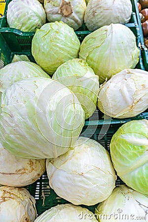 Close up of fresh green cabbage drops at a grocery store Stock Photo