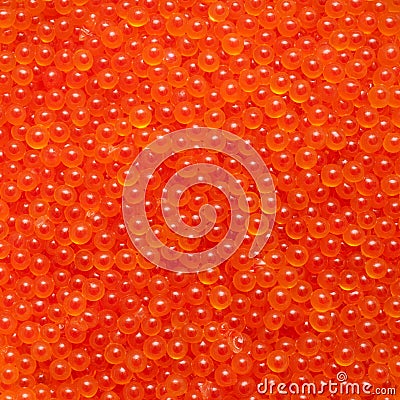 Close-up of fresh Japanese salmon roe caviar Stock Photo
