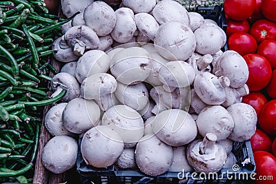 Close-up of fresh mushrooms selling in local farmerâ€™s market. Vegan food Stock Photo