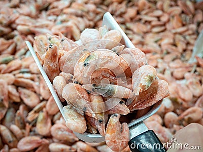 Close up of fresh pink frozen shrimp covered in ice in metal scoop Stock Photo