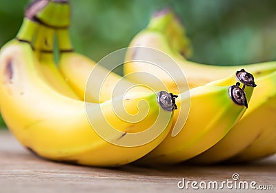 fresh Raw Organic Bunch of Bananas Stock Photo