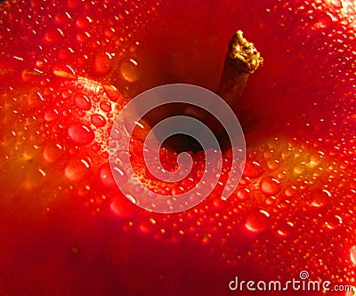 Close up of a fresh red apple Stock Photo