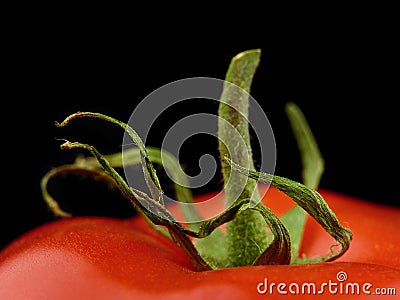 Tomato macro Stock Photo