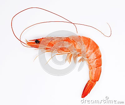 Close up of fresh shrimp Stock Photo