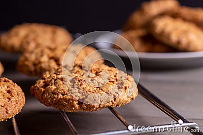 Close-up of a freshly baked stack of warm oatmeal cookies on a cooling rack on a dark background Stock Photo