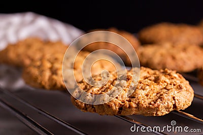 Close-up of a freshly baked stack of warm oatmeal cookies on a cooling rack on a dark background Stock Photo