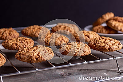 Close-up of a freshly baked stack of warm oatmeal cookies on a cooling rack and saucer on a dark background Stock Photo