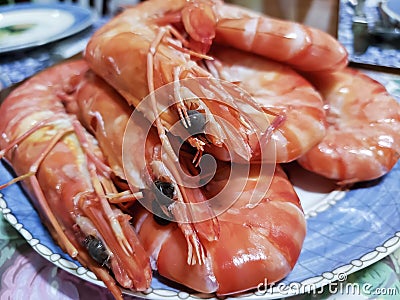 Close-up of freshly cooked shrimps served on a plate Stock Photo