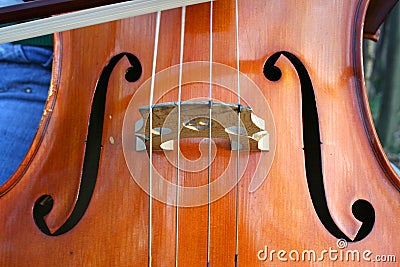 Close up front view of detail of a cello string music instrument. Stock Photo