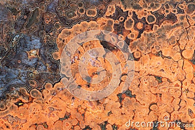 Close-up full-screen texture of orange spotted jasper Stock Photo