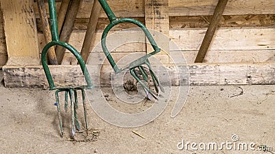 Close-up on garden claws, a kind of pitchfork, a tool used in the vegetable garden to refine the surface of the soil Stock Photo