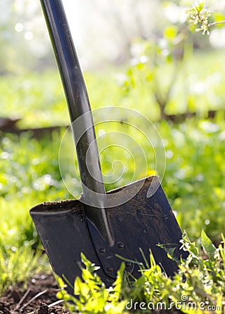 Close up of garden shovel Stock Photo