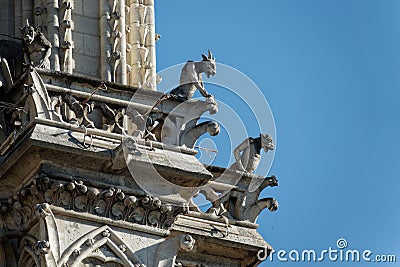 Close up of gargoyles of Notre Dame on blue sky backgrouns in Paris France Stock Photo