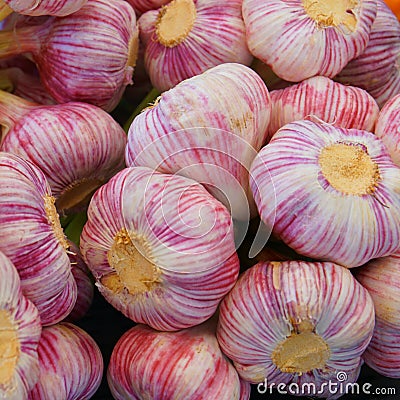 Close up of garlic bulbs Stock Photo