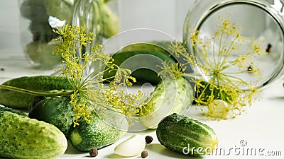 Close-up glass jars,fresh cucumbers,dill,garlic and black pepper on a white plate.Ingredients for canning,pickling or fermenting Stock Photo