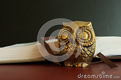 Close up of a golden figure of an owl in front of an open book. Stock Photo