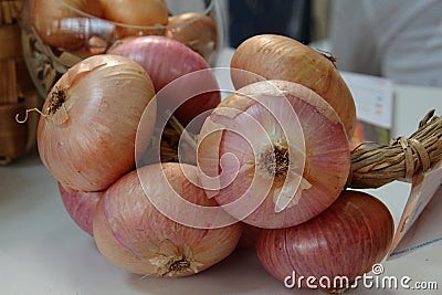 Golden onion braid Stock Photo