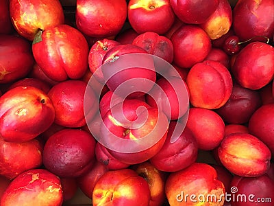 Close-up of Gorgeous Shiny Organic Nectarines, Bright Reds & Golds, at Farmer`s Market Stock Photo