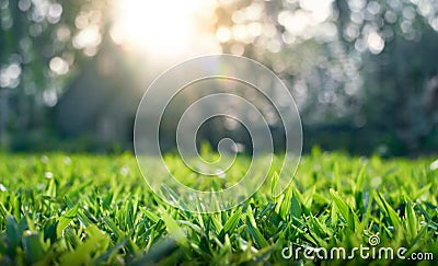 Close up of grass field Stock Photo