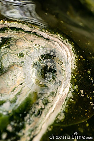 Close up green chalcedony Gemstone texture Stock Photo