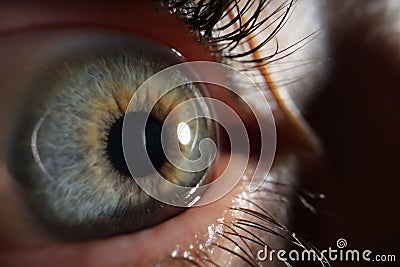 Green females eye, detailed picture of human being vision, macro shot of human eye Stock Photo