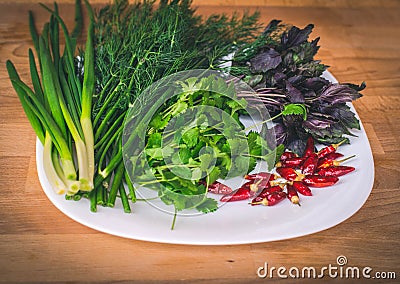 Close up of green organic herbs, basil, coriander, fennel, green onion, red chili peppers on white plate, rustic wooden background Stock Photo