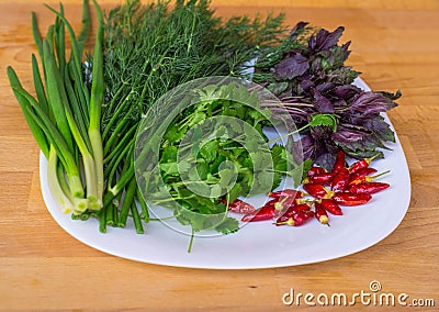 Close up of green organic herbs, basil, coriander, fennel, green onion, red chili peppers on white plate, rustic wooden background Stock Photo