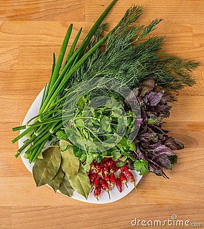 Close up of green organic herbs, basil, coriander, fennel, green onion, red chili peppers on white plate, rustic wooden background Stock Photo