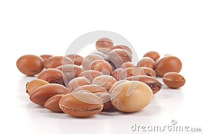 Close up of group of argan nuts on a white background. Stock Photo